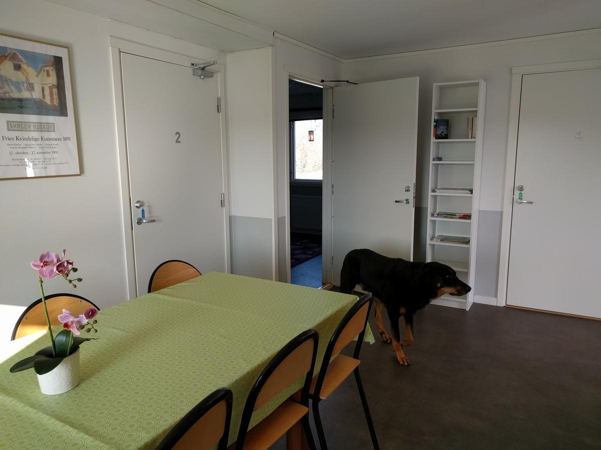 Olserods Hundcenter & Vandrarhem Degeberga Εξωτερικό φωτογραφία